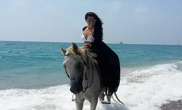 Pferde Reiten